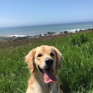 Meet your Posher, Annika